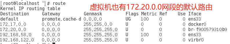 Docker容器之内网独立IP访问