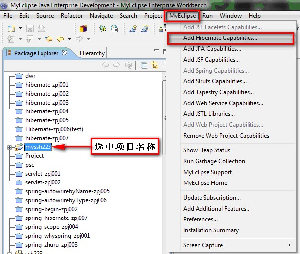 Struts2.1.6+Spring2.0+Hibernate3.1整合图解教程(ssh223)