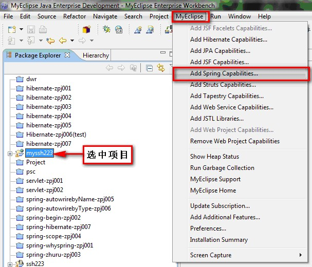 Struts2.1.6+Spring2.0+Hibernate3.1整合图解教程(ssh223)