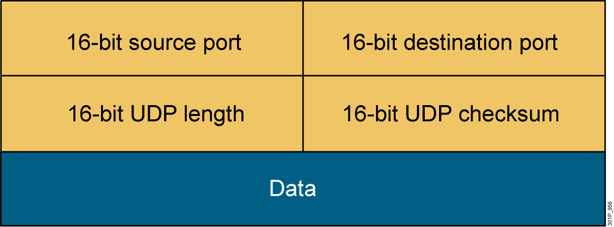 IP UDP包头详解