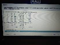 kali折腾日记之实体机安装（win10与kali双系统）