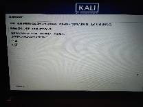 kali折腾日记之实体机安装（win10与kali双系统）