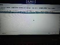 kali折腾日记之实体机安装（win10与kali双系统）