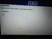 kali折腾日记之实体机安装（win10与kali双系统）