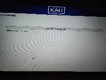 kali折腾日记之实体机安装（win10与kali双系统）