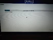 kali折腾日记之实体机安装（win10与kali双系统）