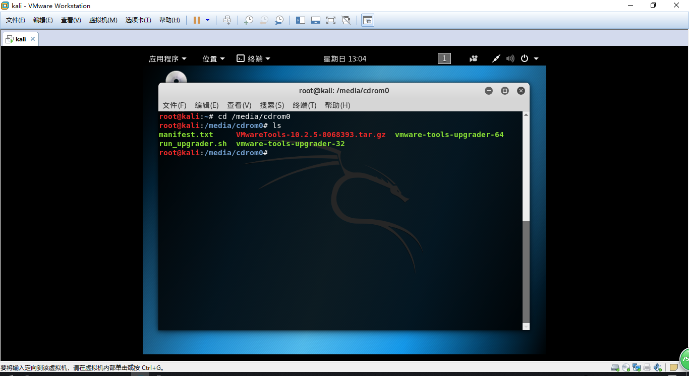 kali折腾日记之虚拟机安装二