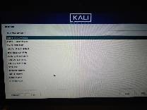 kali折腾日记之实体机安装（win10与kali双系统）