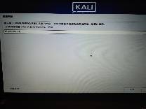 kali折腾日记之实体机安装（win10与kali双系统）