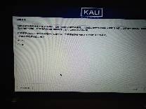 kali折腾日记之实体机安装（win10与kali双系统）