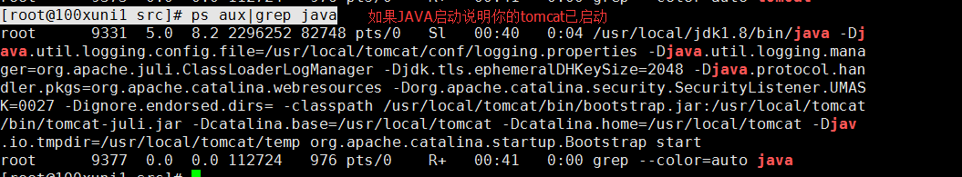 Tomcat介绍、安装jdk、安装Tomcat