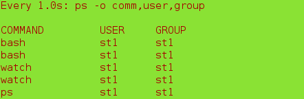 linux基础学习【3】