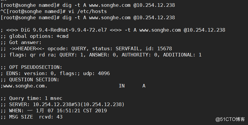 DNS服务器简单部署