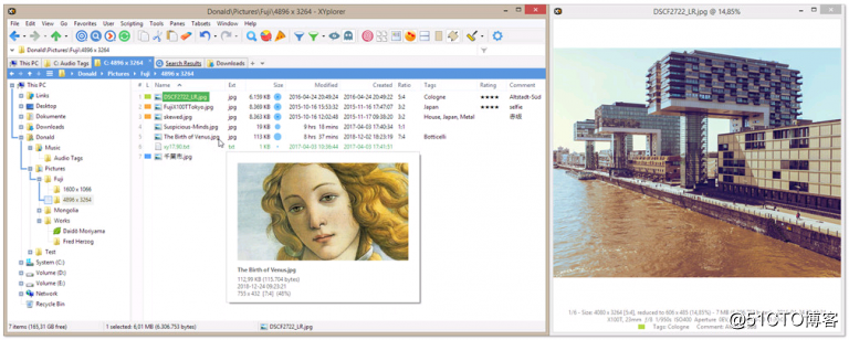 XYplorer 19.50.0100 綠色破解版 — 多標籤檔案管理工具