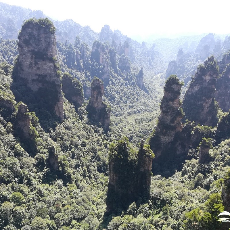 张家界有哪些比较有名的景点，张家界旅游经典线路，张家界怎么玩，张家界天门山游玩攻略