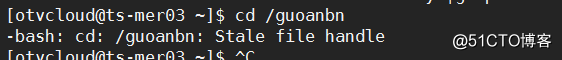 nfs文件不共享，Stale file handle