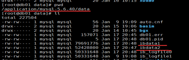 mysql扩容共享表空间