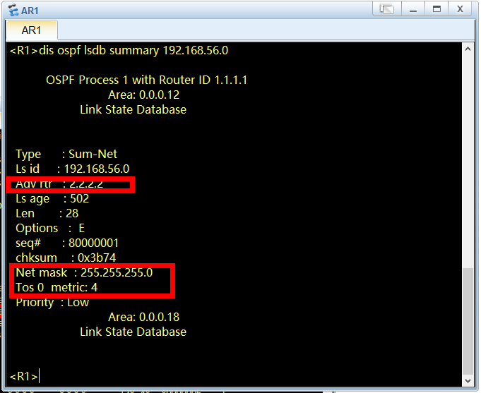 IGP OSPF 的5类LSA