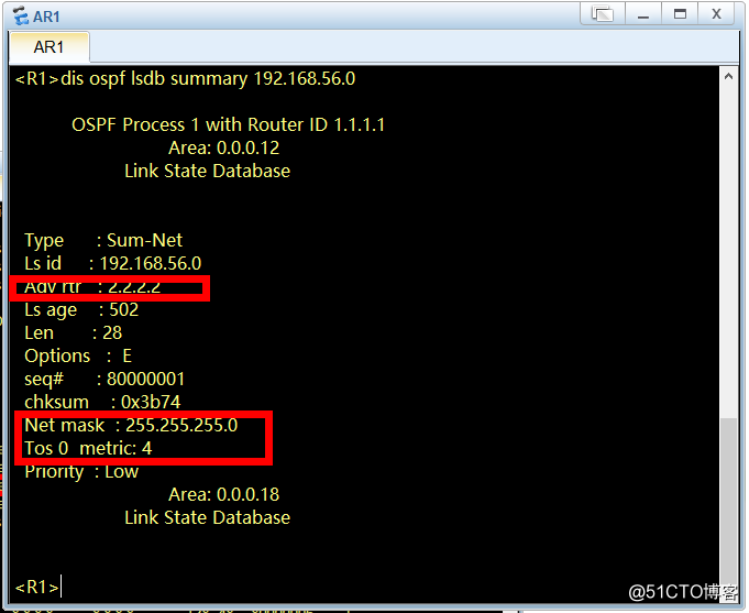 IGP OSPF 的5类LSA
