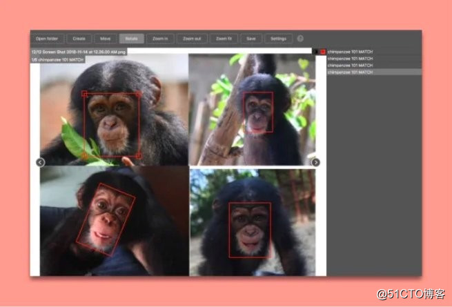 黒猩猩盗猎越来越严重！新科技「猩脸辨识」技术诞生