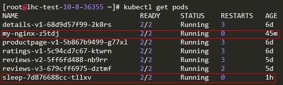 idou老师教你学Istio 17 : 通过HTTPS进行双向TLS传输