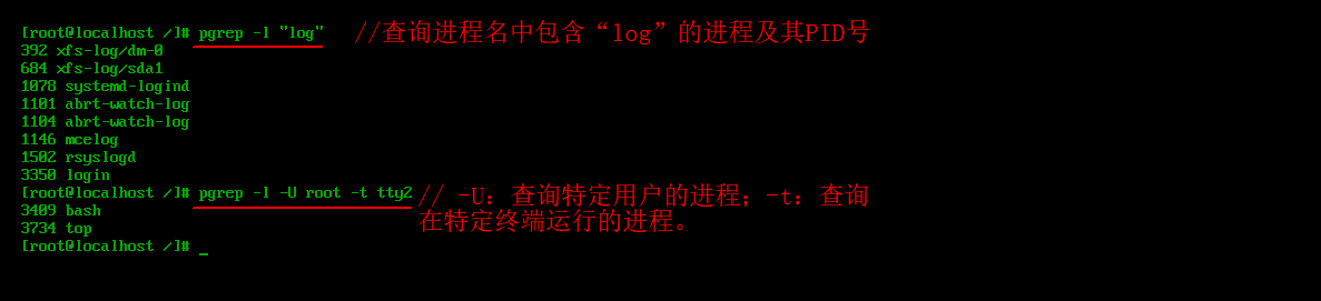 Linux中如何查看进程和控制进程