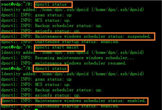 VDP安装完成之后显示[009]Maintenance are not running