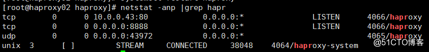 haproxy+keepalived安装配置