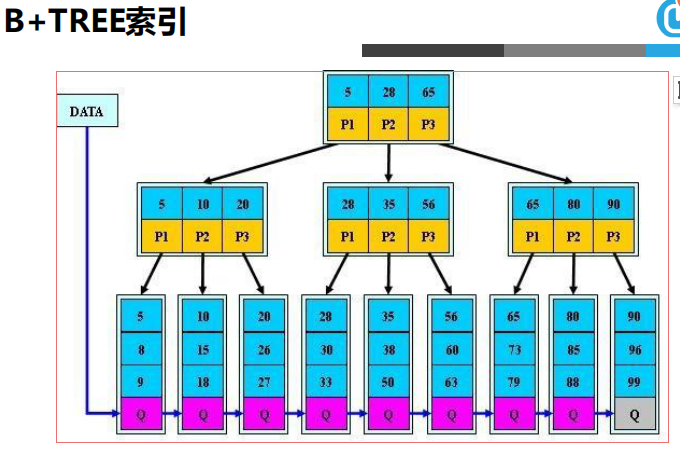 MySQL重点内容：查询语句、名称解析