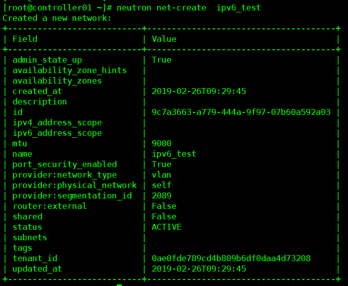 ipv6  neutron应用（一）