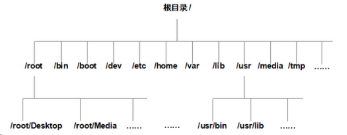 继常用命令的补充及目录结构