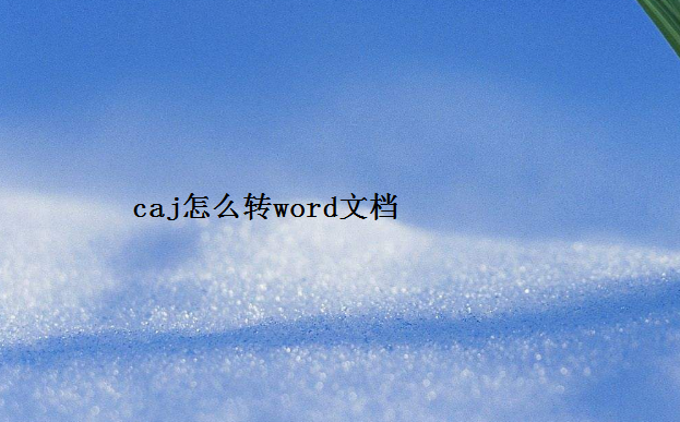 caj怎么转word文档