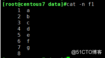 學習Linux之路  命令cat