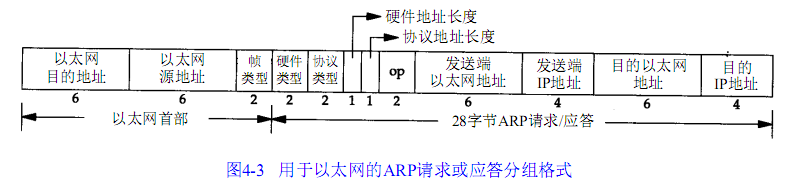 地址解析协议(ARP)