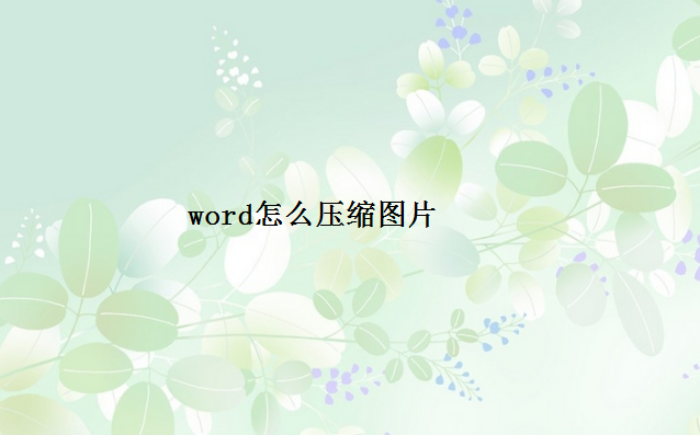 word怎么压缩图片