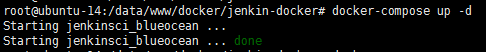 Docker 安装 Jenkins