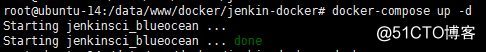 Docker 安装 Jenkins