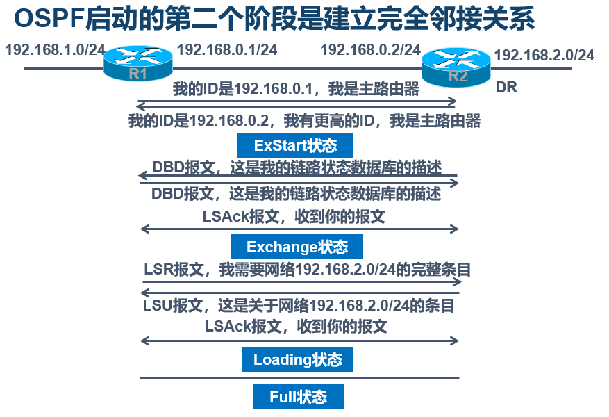 路由器OSPF的基本概念与工作过程