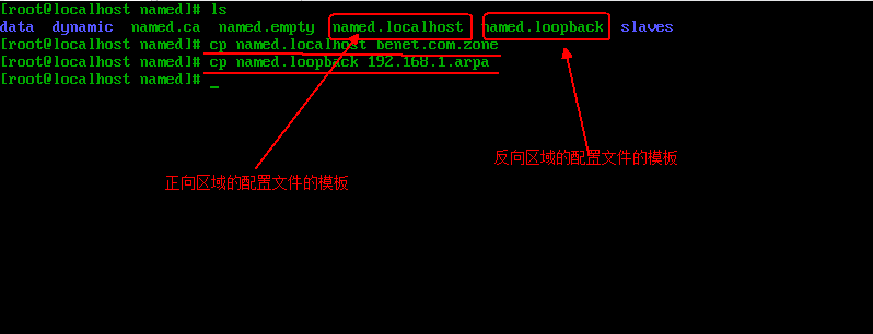 Linux搭建DNS服务