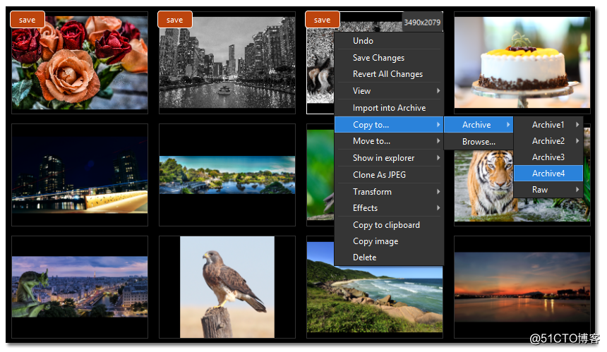 Mac版最好用的照片管理软件“ImageRanger”