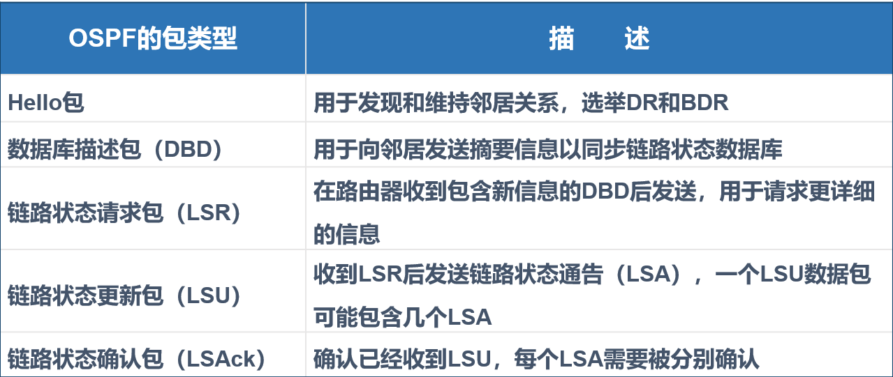 OSPF路由协议