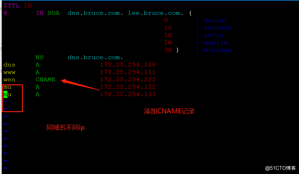 Linux中的DNS 正向解析與反向解析，輪詢機制