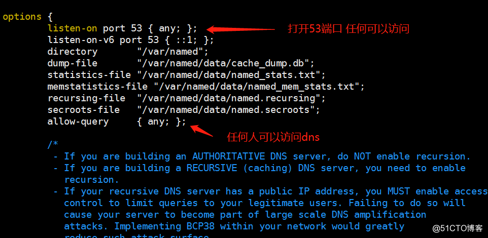 linux中DNS集群