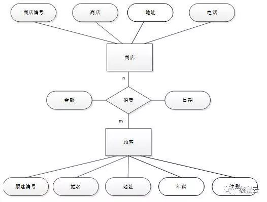 袋鼠云数据中台专栏2.0 | 数据中台之数据源