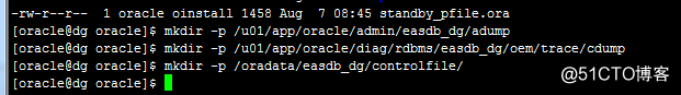 Oracle Dg配置过程