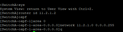 OSPF实训案例配置（二）