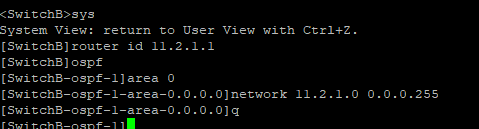 OSPF实训案例配置（二）