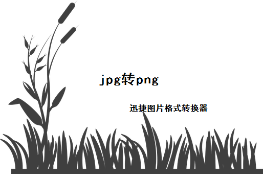 多张jpg图片怎么转换成png格式