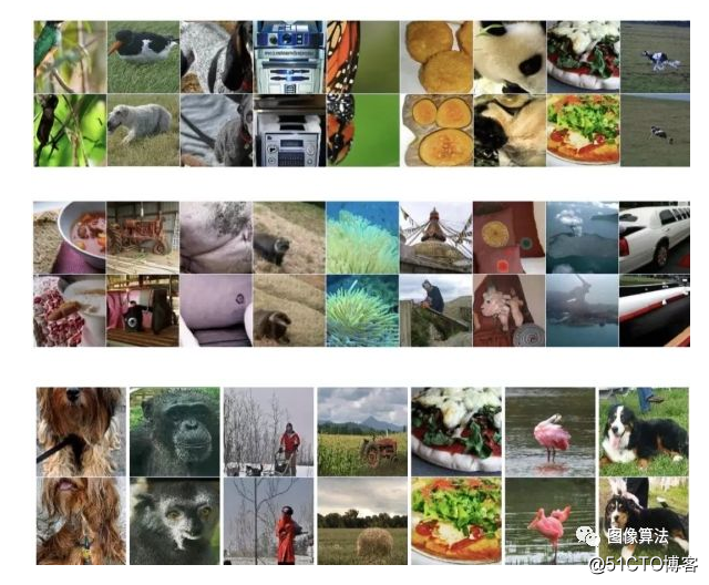秒杀分类AI，GAN图像分类刷新ImageNet纪录