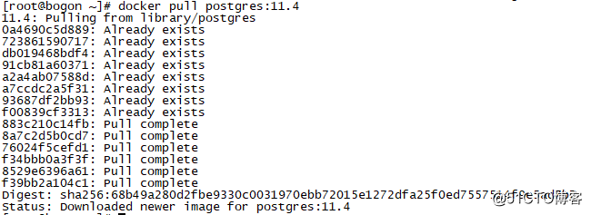 Docker installation postgreSQL 11.4